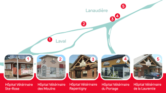 Our Team Is Growing!