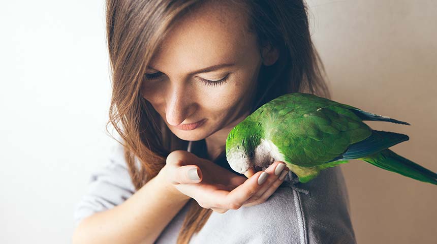 Exotic bird care
