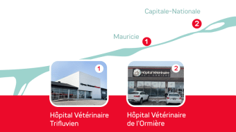 Our Team Is Growing!