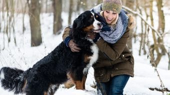 Votre animal est-il bien protégé en hiver ?