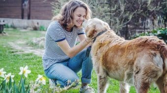 L’ostéoarthrose chez le chien