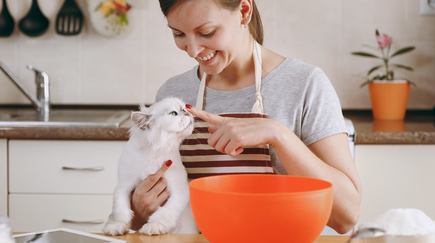 Cuisinez les gâteries de votre chat