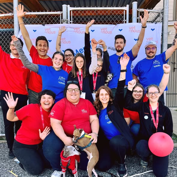 Cette année, nos équipes ont participés à plusieurs implication communautaire!