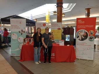 Over the past few months, our teams have taken part in several public events!