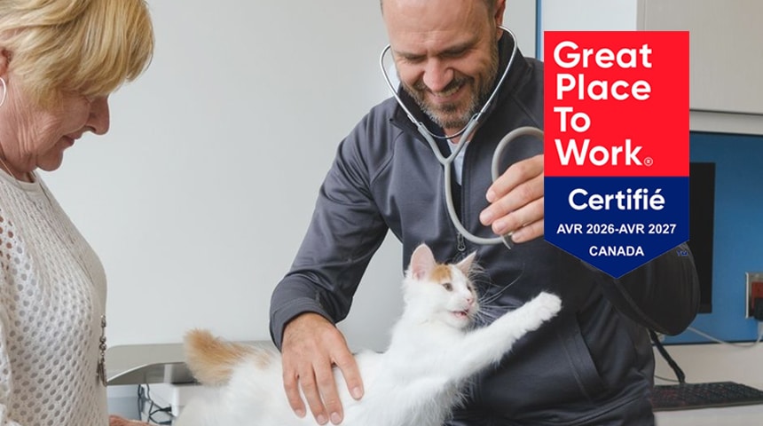 VCA Canada obtient la certification Great Place To Work® 2026